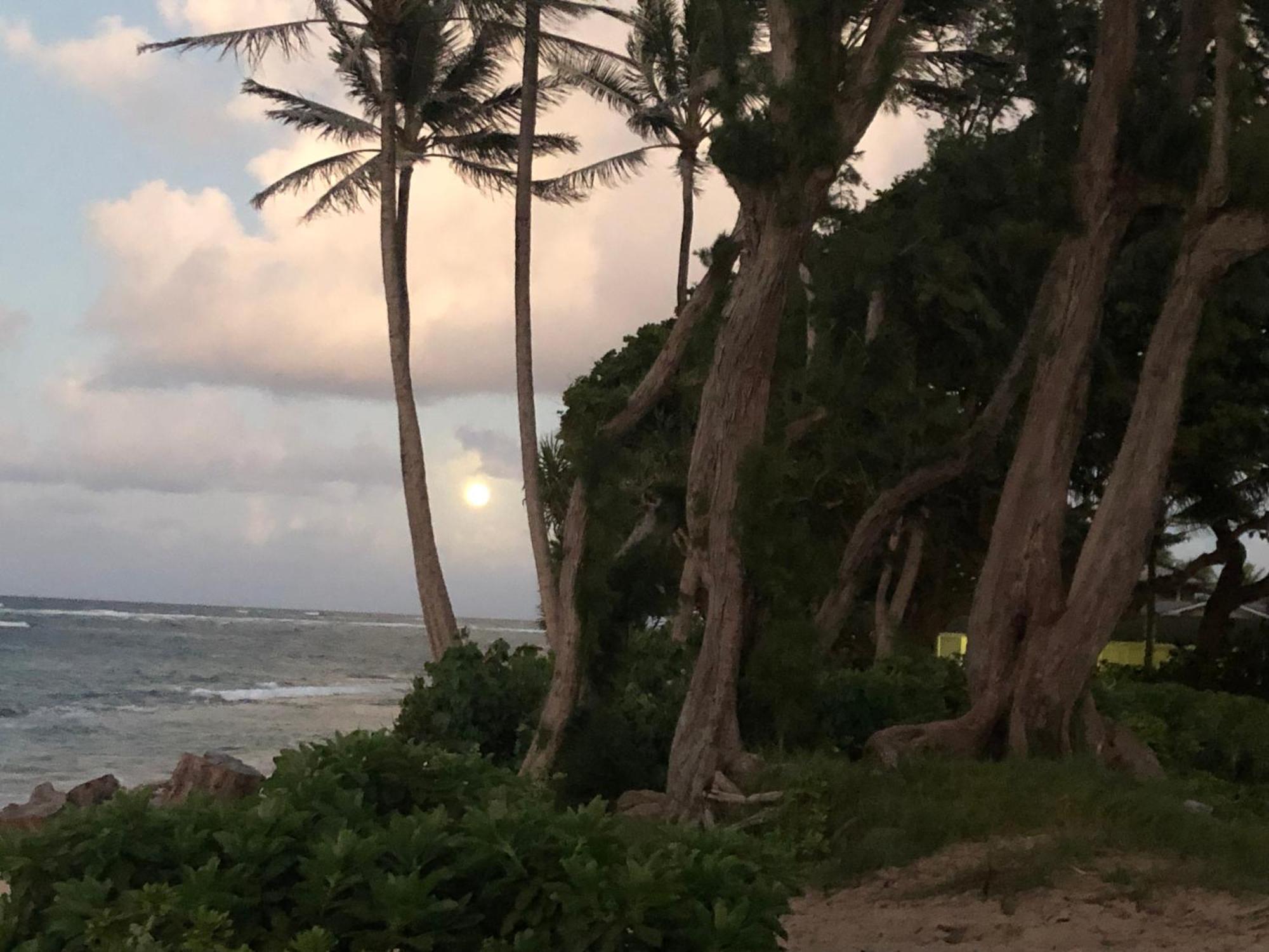 Villa Tropical Treasure On A White Sandy Beach Laie Exterior foto